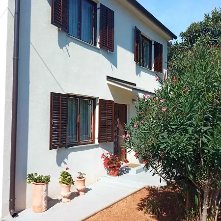 Apartment In Rovinj/istrien 11479 *